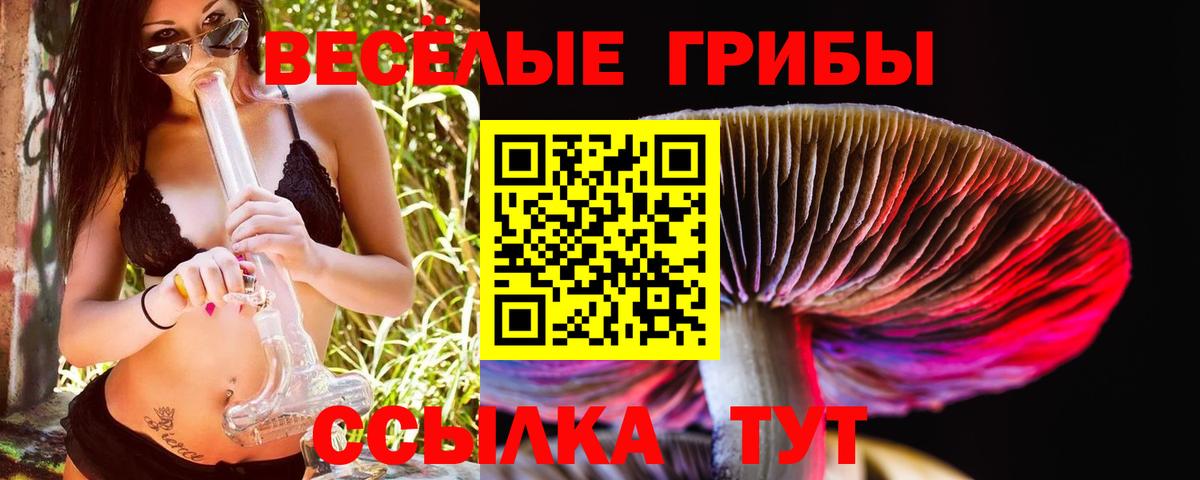 хочу   Вход с VPN  Галлюциногенные грибы мицелий  Кувандык  Псилоцибиновые грибы мицелий 